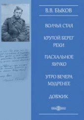 Утро вечера мудренее — Василь Быков