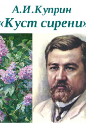 Куст сирени — Александр Куприн