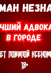 Лучший адвокат в городе — Роман Незнаю