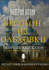 Бесогон из Ольховки. Сборник рассказов — Валерий Лялин