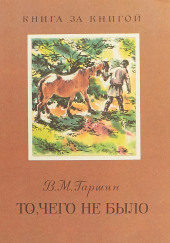 То, чего не было — Всеволод Гаршин