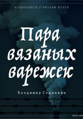 Пара вязаных варежек — Владимир Сединкин