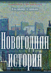 Новогодняя история — Владимир Сединкин