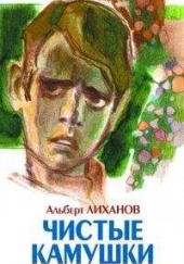 Чистые камушки — Альберт Лиханов