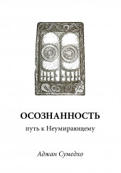 Осознанность путь к Неумирающему — Аджан Сумедхо