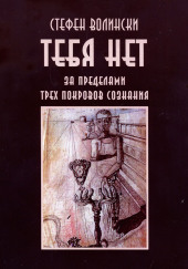 Тебя нет. За пределами трёх покровов сознания — Стивен Волински