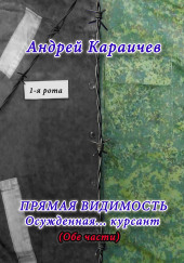 Прямая видимость — Андрей Караичев