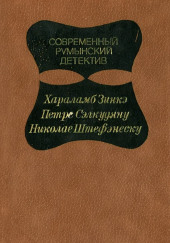 Дорогой мой Шерлок Холмс — Зинкэ Хараламб