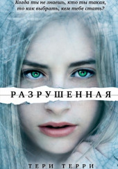 Разрушенная — Тери Терри