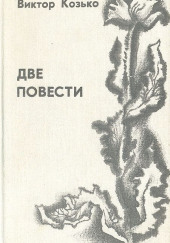 Повесть о беспризорной любви — Виктор Козько