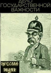 Дело государственной важности — Ярослав Гашек