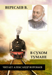 В сухом тумане — Викентий Вересаев