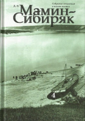 Господин Скороходов — Дмитрий Мамин-Сибиряк