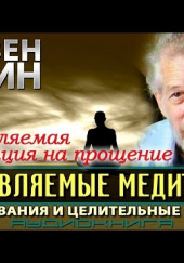 Направляемые медитации, исследования и целительные практики — Стивен Левин