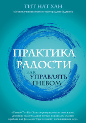 Практика радости. Как управлять гневом — Тит Нат Хан