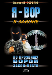 По прозвищу Ворон. Закон мести — Валерий Горшков