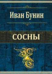 Сосны — Иван Бунин