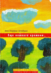 Ещё немного времени — Энн Норрис Болдуин