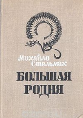 Большая родня — Михайло Стельмах