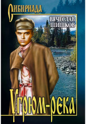 Жизнь и крушение Прохора Громова — Вячеслав Шишков