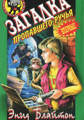 Загадка пропавшего ручья — Энид Мэри Блайтон