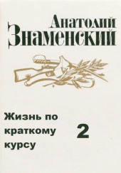 Жизнь по краткому курсу. Тетрадь 2 — Анатолий Знаменский