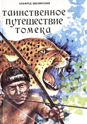 Таинственное путешествие Томека — Альфред Шклярский