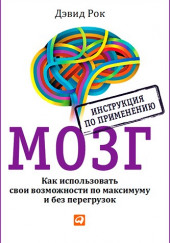 Мозг. Как использовать свои возможности по максимуму и без перегрузок — Дэвид Рок