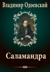 Саламандра. Десять вечеров в доме на Фонтанке — Владимир Одоевский