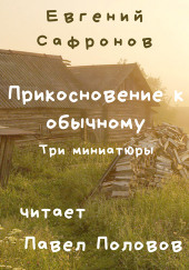 Прикосновение к обычному. Три миниатюры — Евгений Сафронов