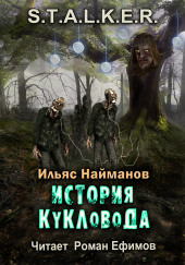 S.T.A.L.K.E.R. История Кукловода — Ильяс Найманов