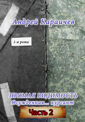 Прямая видимость. Часть 2 — Андрей Караичев