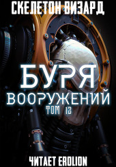 Буря Вооружений. Том 13 — Визард Скелетон