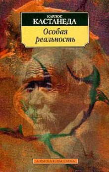 Особая реальность. Новые беседы с доном Хуаном — Карлос Кастанеда