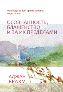 Осознанность, блаженство и за их пределами. Руководство для практикующих медитацию — Аджан Брахм