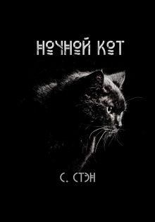 Ночной кот — Сергей Стэн