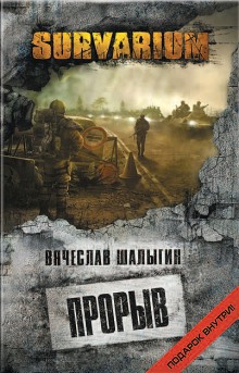 Прорыв. Штормовое предупреждение — Вячеслав Шалыгин