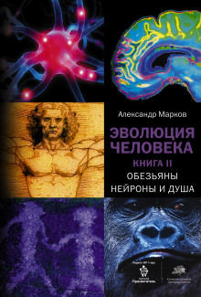 Обезьяны, нейроны и душа — Александр Марков